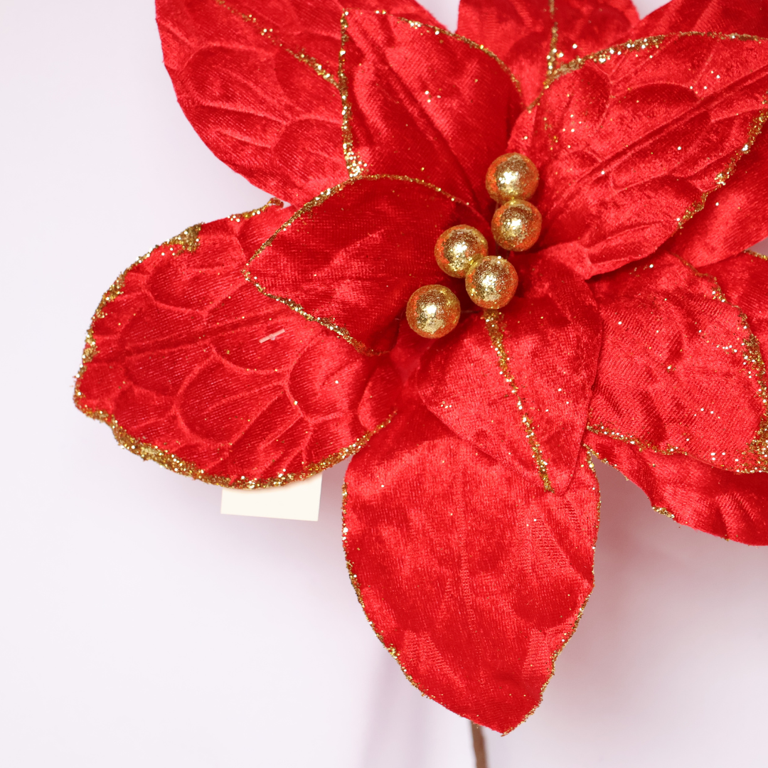 Poinsettia Rojo — 28 cm (12 pétalos) 2025-55