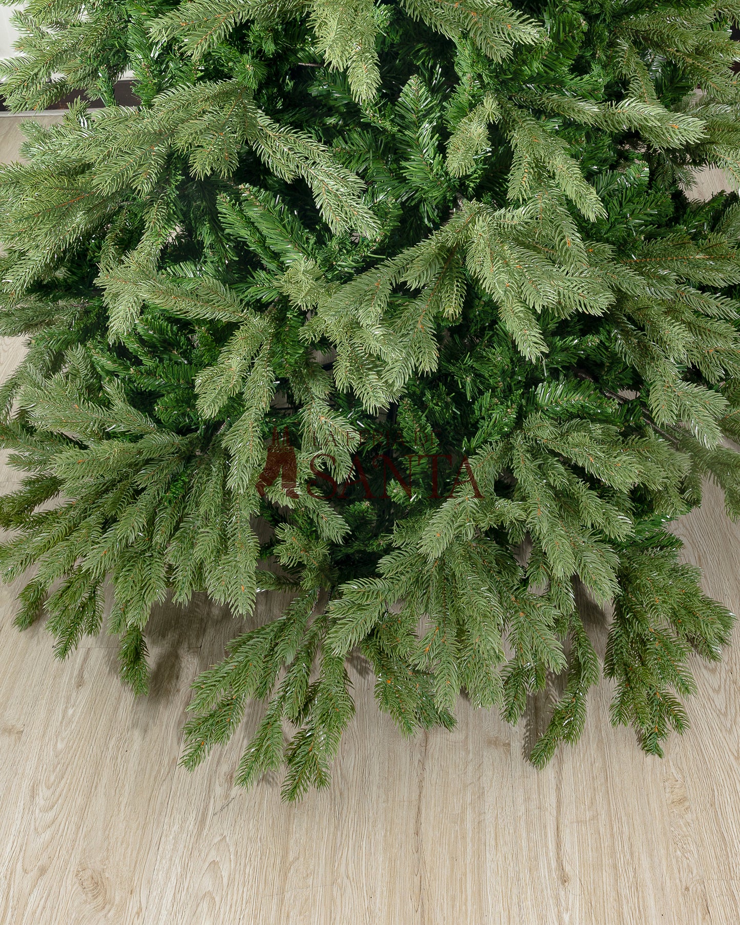 Árbol Canada