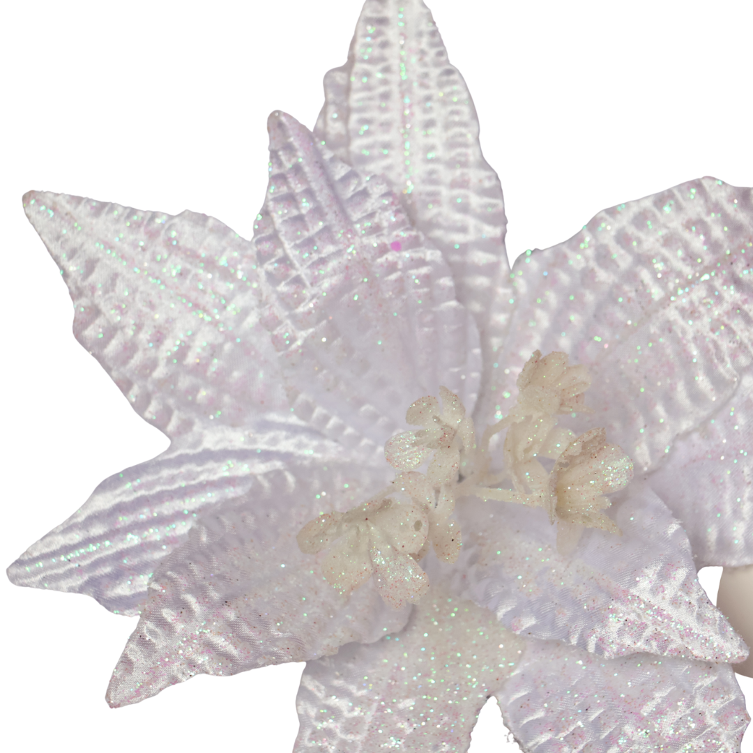 Poinsettia Blanca — 25 cm (10 pétalos) LY25-140