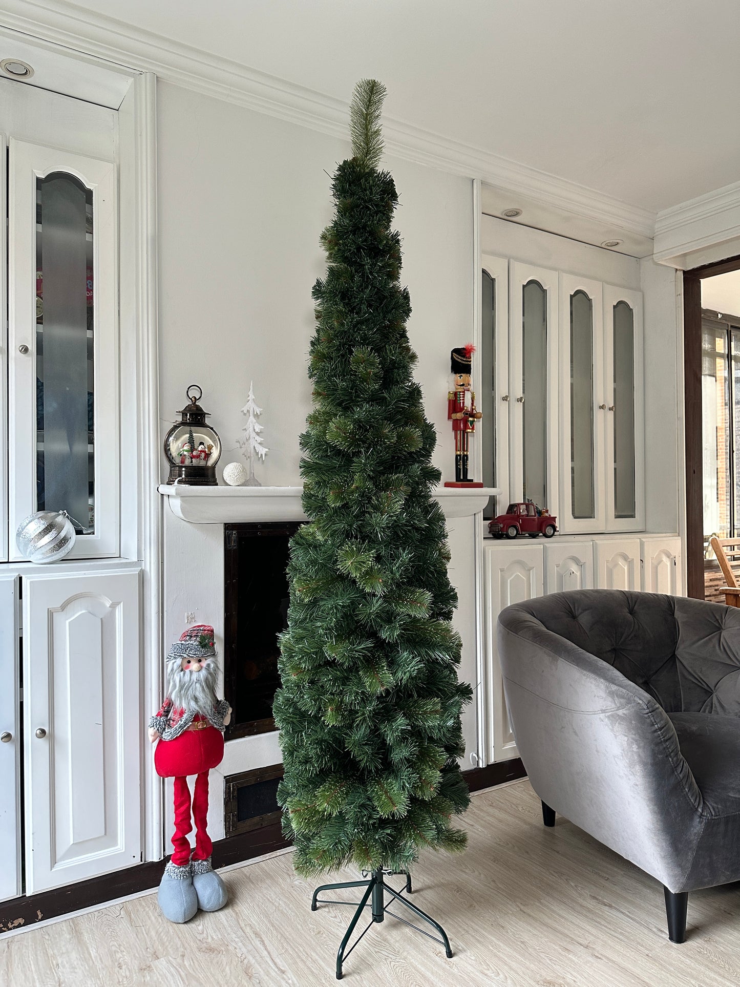 Árbol Palomino