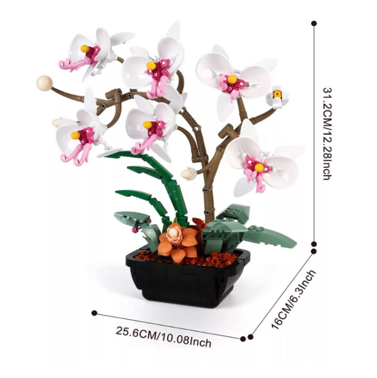 Orquideas