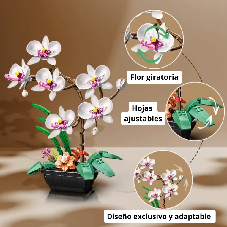 Orquideas