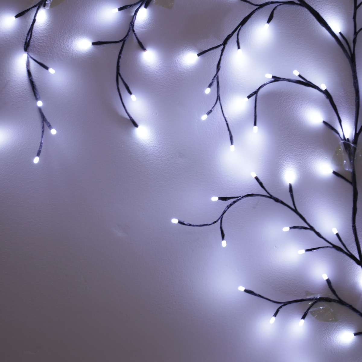 Rama Sauce - 144 LEDs - 240 CM