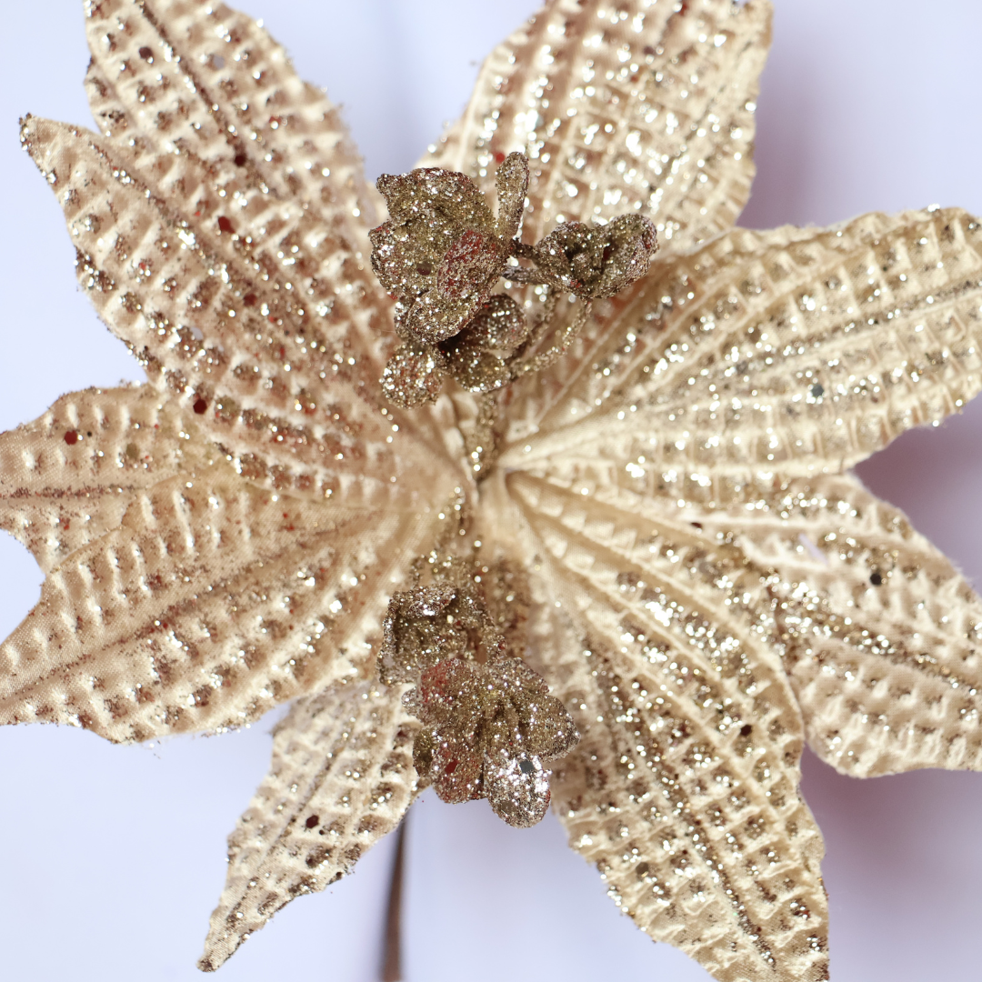 Poinsettia Dorada — 25 cm (10 pétalos) LY25-140