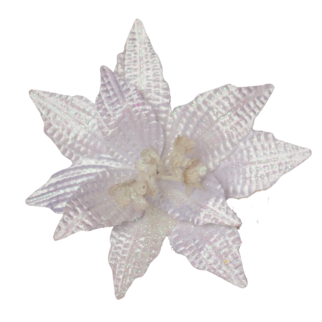 Poinsettia Blanca — 25 cm (10 pétalos) LY25-140