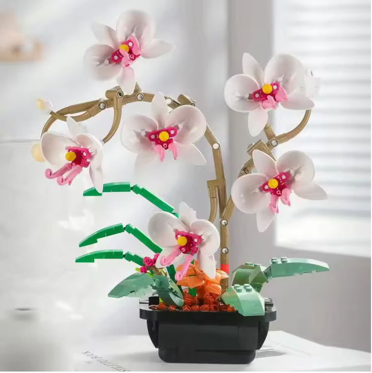 Orquideas
