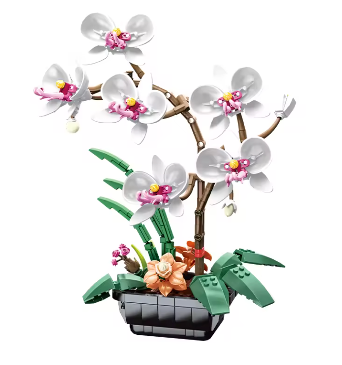 Orquideas