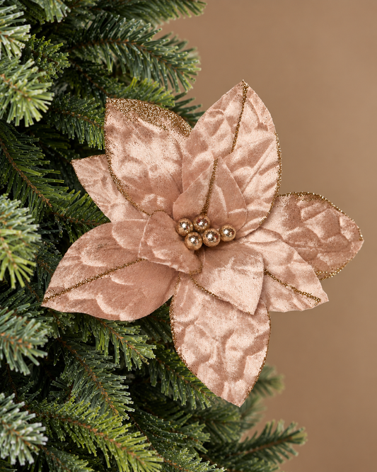 Poinsetia Champagne — 28 cm (12 pétalos) LF2025-55