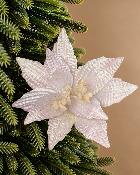 Poinsetia Blanca — 25 cm (10 pétalos) LY25-140