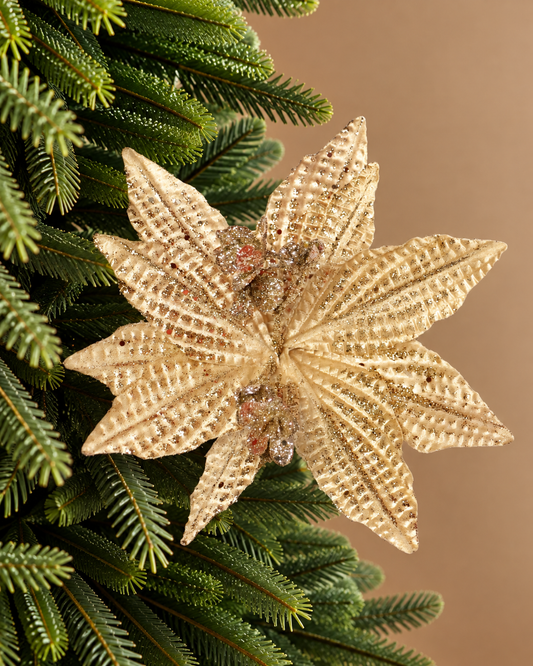 Poinsetia Champagne — 25 cm (10 pétalos) LY25-140